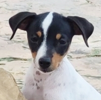 Tina